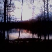 6th of November 2017