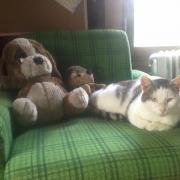 8th of November 2017