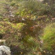 10th of November 2017