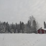 3rd of February 2022