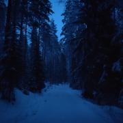 17th of February 2022