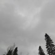 24th of February 2022