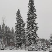 14th of January 2024