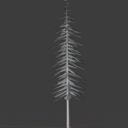 15th of January 2024