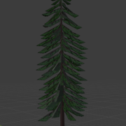 16th of January 2024