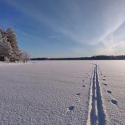 17th of January 2024