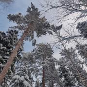 19th of January 2024