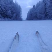 20th of January 2024