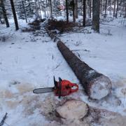 7th of February 2024