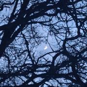 13th of February 2024