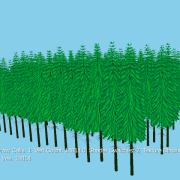 22nd of February 2024