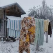 10th of January 2026