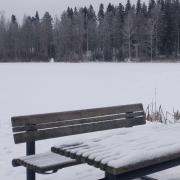 17th of February 2026