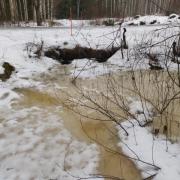 28th of February 2026