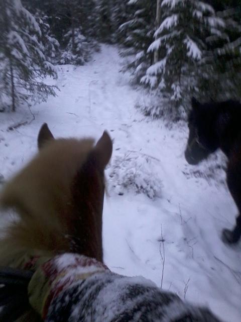 riding in the woods