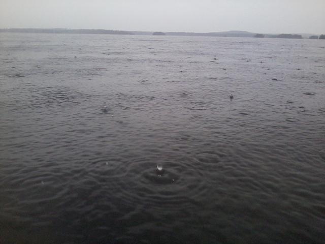 raindrops on the lake